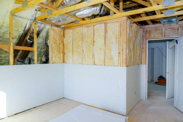 Best Insulation Maintenance and Repair in Fort Denaud, FL