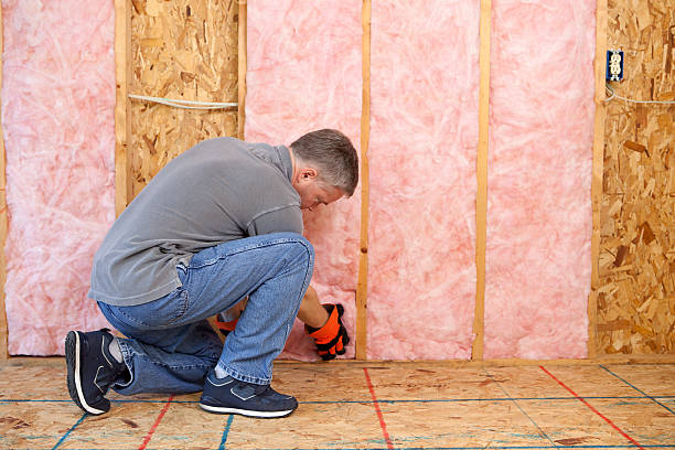 Best Spray Foam Insulation in Fort Denaud, FL